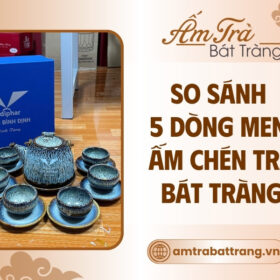 so-sanh-5-dong-men-am-chen-tra-bat-trang