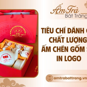 tieu-chi-danh-gia-chat-luong-am-chen-in-logo